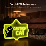 SUNLU PETG Glow in the Dark — светящийся филамент 3